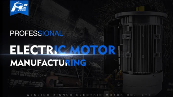 Moteur à induction triphasé série Ie2 Ys (AO2)